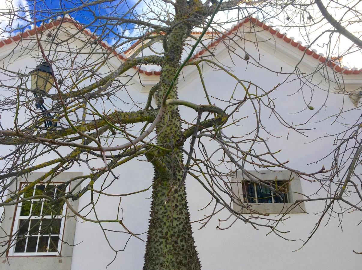 Hotel Ninho Salino Cascais Exteriér fotografie
